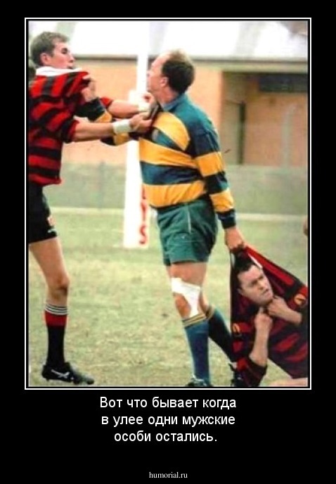 Вот что бывает когда в улее одни мужские особи остались.