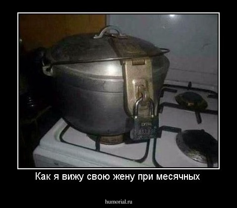 Как я вижу свою жену при месячных 