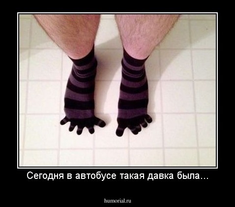 Сегодня в автобусе такая давка была...