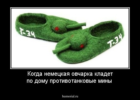 Когда немецкая овчарка кладет по дому противотанковые мины 