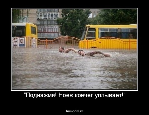 "Поднажми! Ноев ковчег уплывает!"