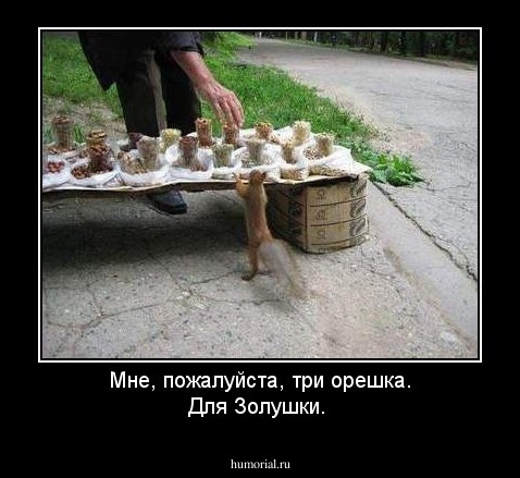 Мне, пожалуйста, три орешка. Для Золушки.