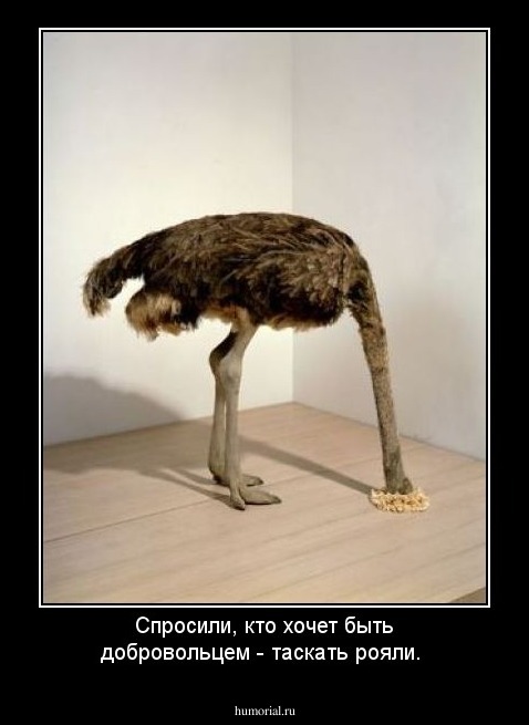 Спросили, кто хочет быть добровольцем - таскать рояли. 