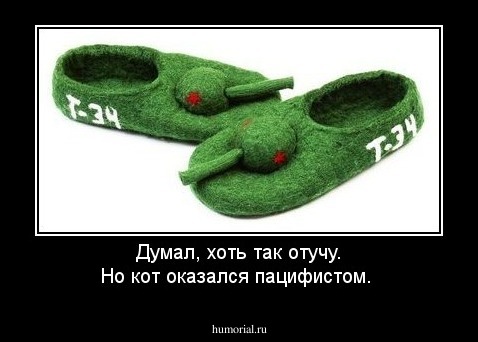 Думал, хоть так отучу. Но кот оказался пацифистом.