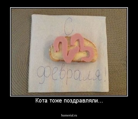 Кота тоже поздравляли...