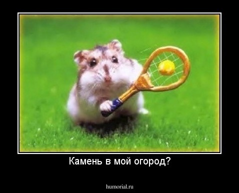 Камень в мой огород?