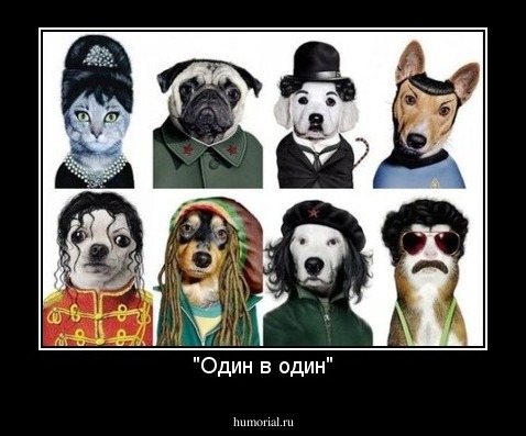 "Один в один"