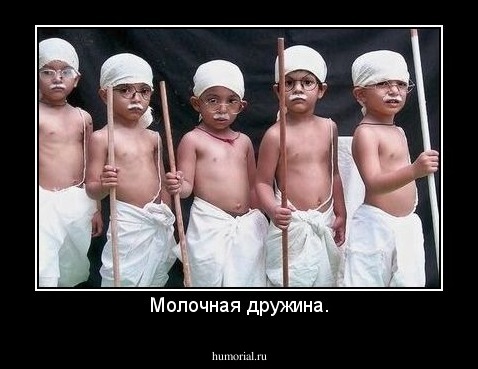 Молочная дружина.