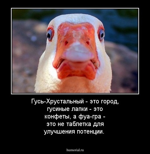 Гусь-Хрустальный - это город,
гусиные лапки - это конфеты,
а фуа-гра - это не таблетка для улучшения потенции.