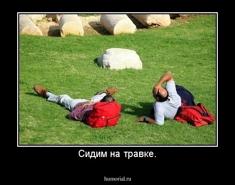 Сидим на травке.