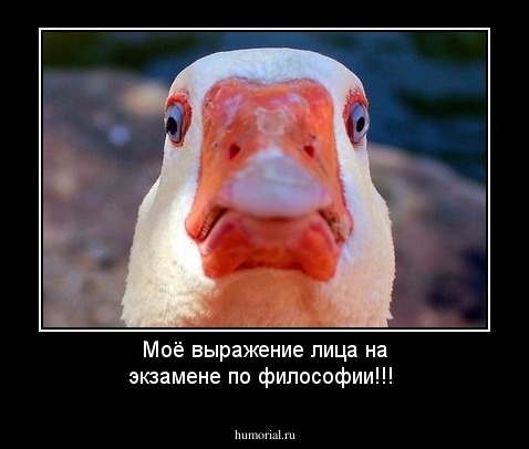 Моё выражение лица на экзамене по философии!!!