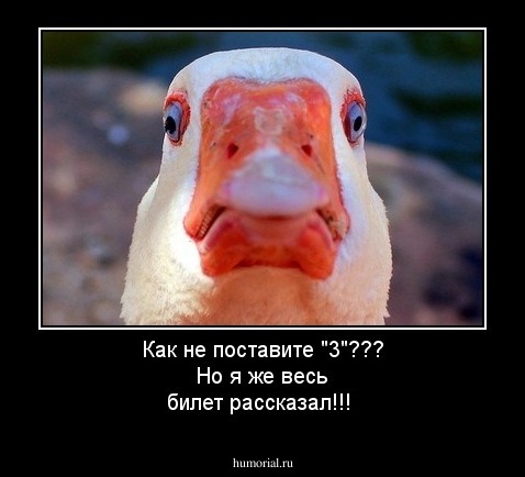 Как не поставите "3"??? Но я же весь билет рассказал!!!
