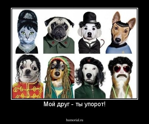 Мой друг - ты упорот!