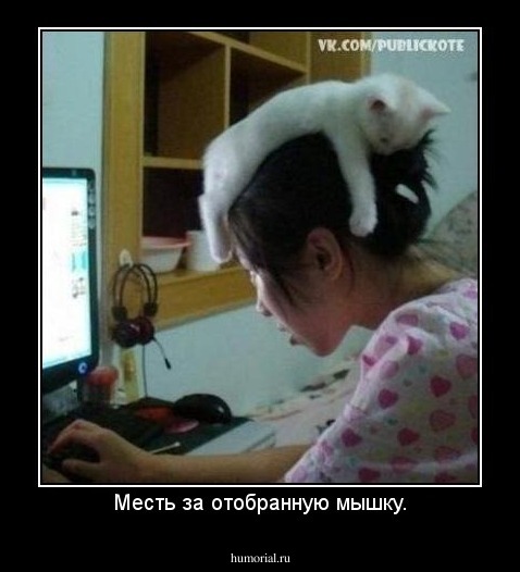 Месть за отобранную мышку.