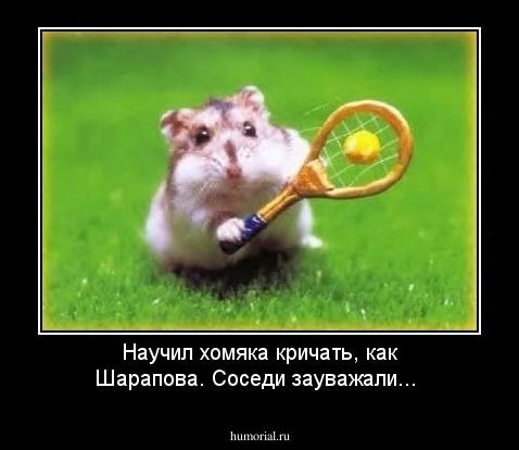 Научил хомяка кричать, как Шарапова. Соседи зауважали...