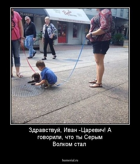 Здравствуй, Иван -Царевич! А говорили, что ты Серым Волком стал