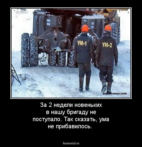 За 2 недели новеньких в нашу бригаду не поступало. Так сказать, ума не прибавилось.
