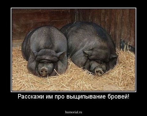 Расскажи им про выщипывание бровей!