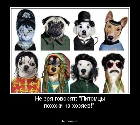 Не зря говорят: "Питомцы похожи на хозяев!"