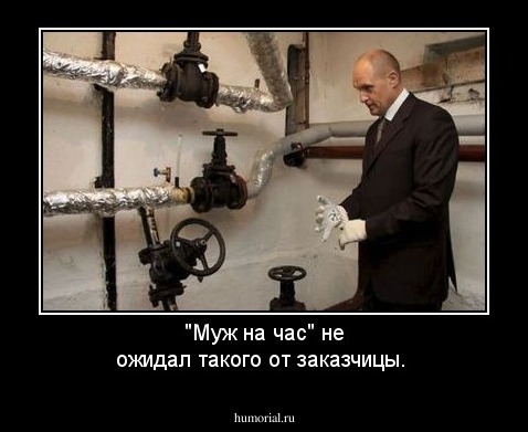 "Муж на час" не ожидал такого  от заказчицы.