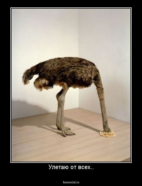 Улетаю от всех..