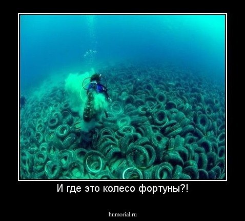 И где это колесо фортуны?!