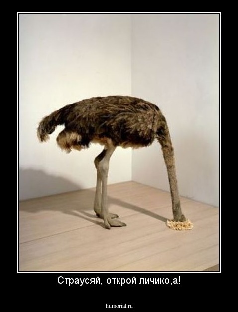Страусяй, открой личико,а!