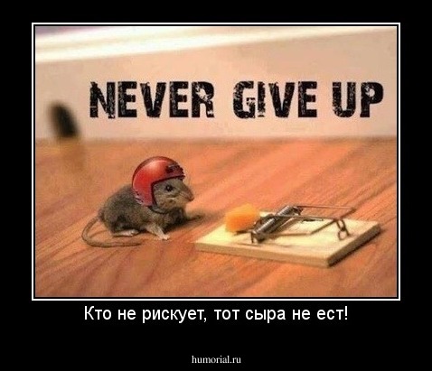 Кто не рискует, тот сыра не ест!