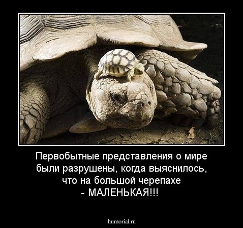 Первобытные представления о мире были разрушены, когда выяснилось, что на большой черепахе - МАЛЕНЬКАЯ!!!