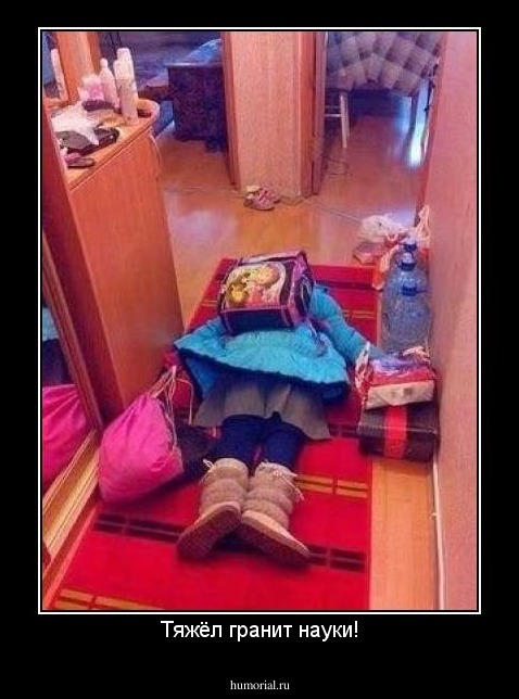 Тяжёл гранит науки!