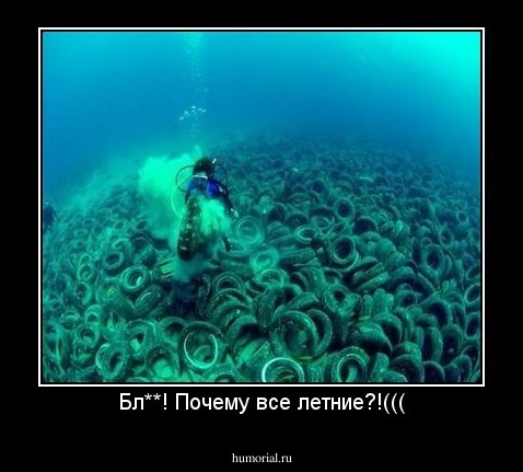 Бл**! Почему все летние?!(((