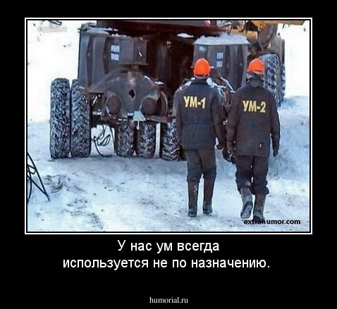 У нас ум всегда используется не по назначению.