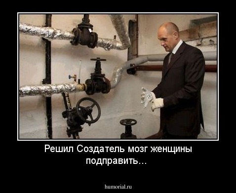 Решил Создатель мозг женщины подправить...