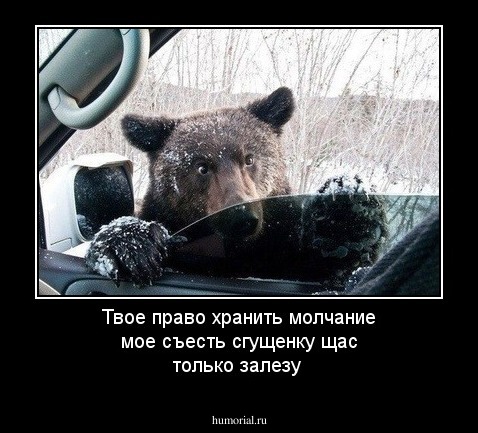 Твое право хранить молчание мое съесть сгущенку щас только залезу