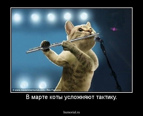 В марте коты усложняют тактику.