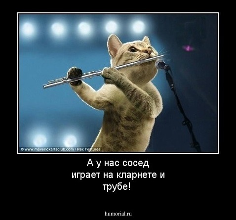 А у нас сосед играет на кларнете и трубе!