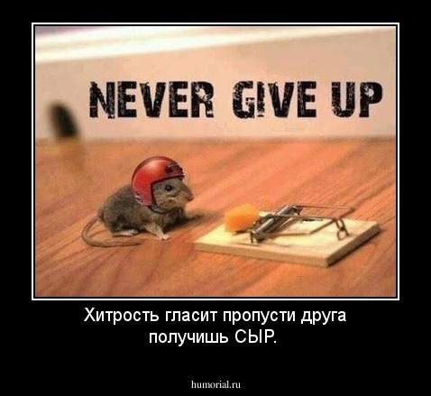 Хитрость глaсит пропусти друга получишь СЫР.