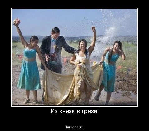 Из князи в грязи!