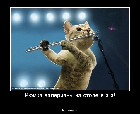 Рюмка валерианы на столе-е-э-э!