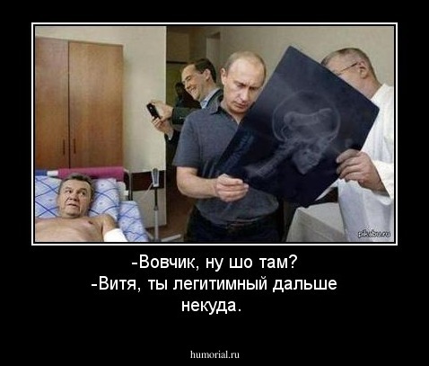-Вовчик, ну шо там? -Витя, ты легитимный дальше некуда.