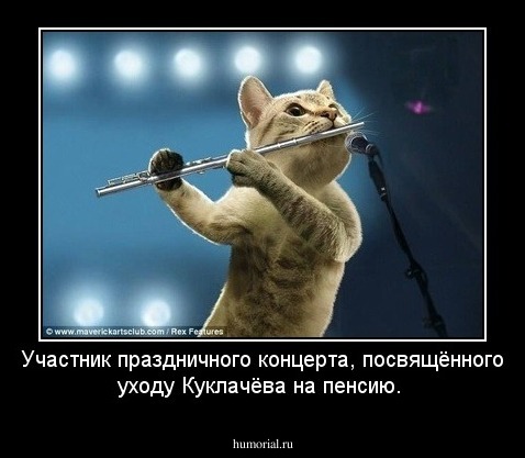 Участник праздничного концерта, посвящённого уходу Куклачёва на пенсию.