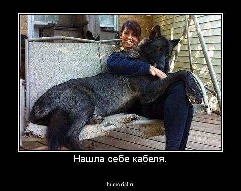 Нашла себе кабеля.