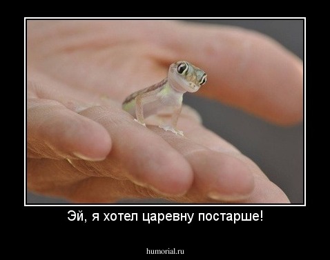Эй, я хотел царевну постарше!