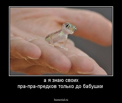 а я знаю своих пра-пра-предков только до бабушки