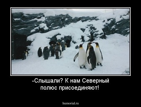 -Слышали? К нам Северный полюс присоединяют!