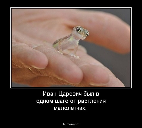 Иван Царевич был в одном шаге от растления малолетних.
