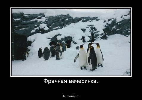 Фрачная вечеринка.