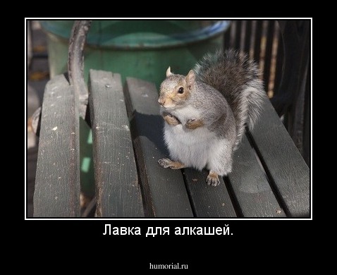 Лавка для алкашей.