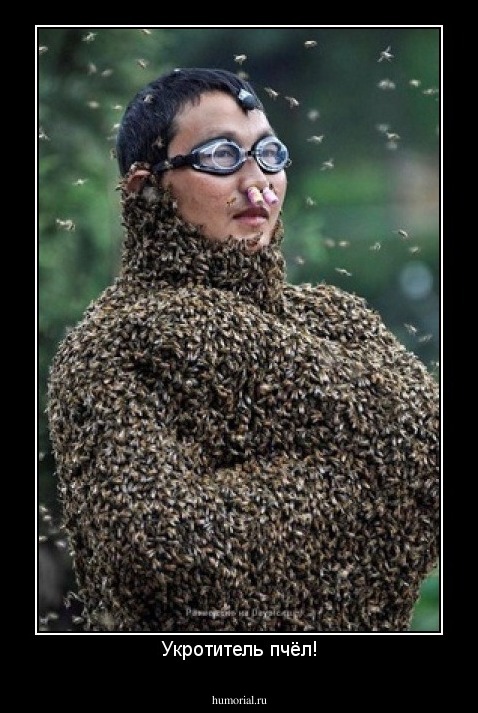 Укротитель пчёл!