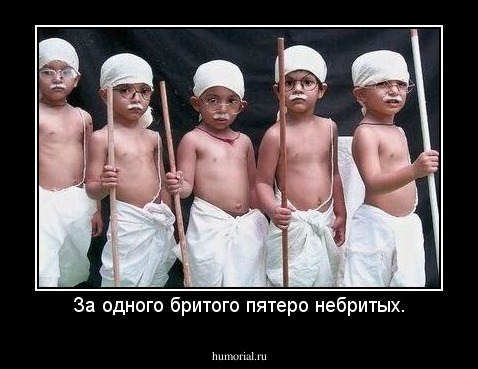 За одного бритого пятеро небритых.